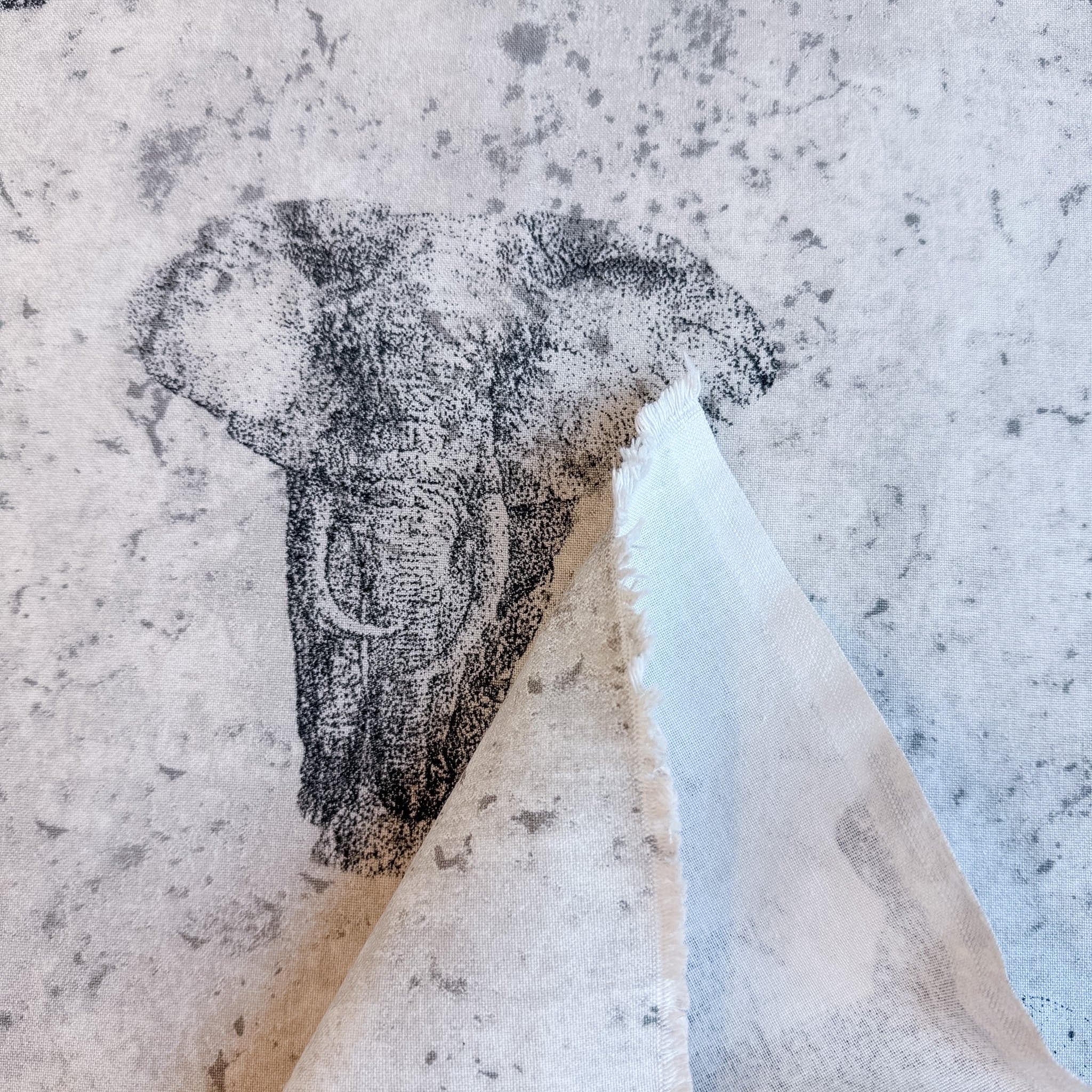 Eksotiske dyr 🦒 🐘 🦁 🦏