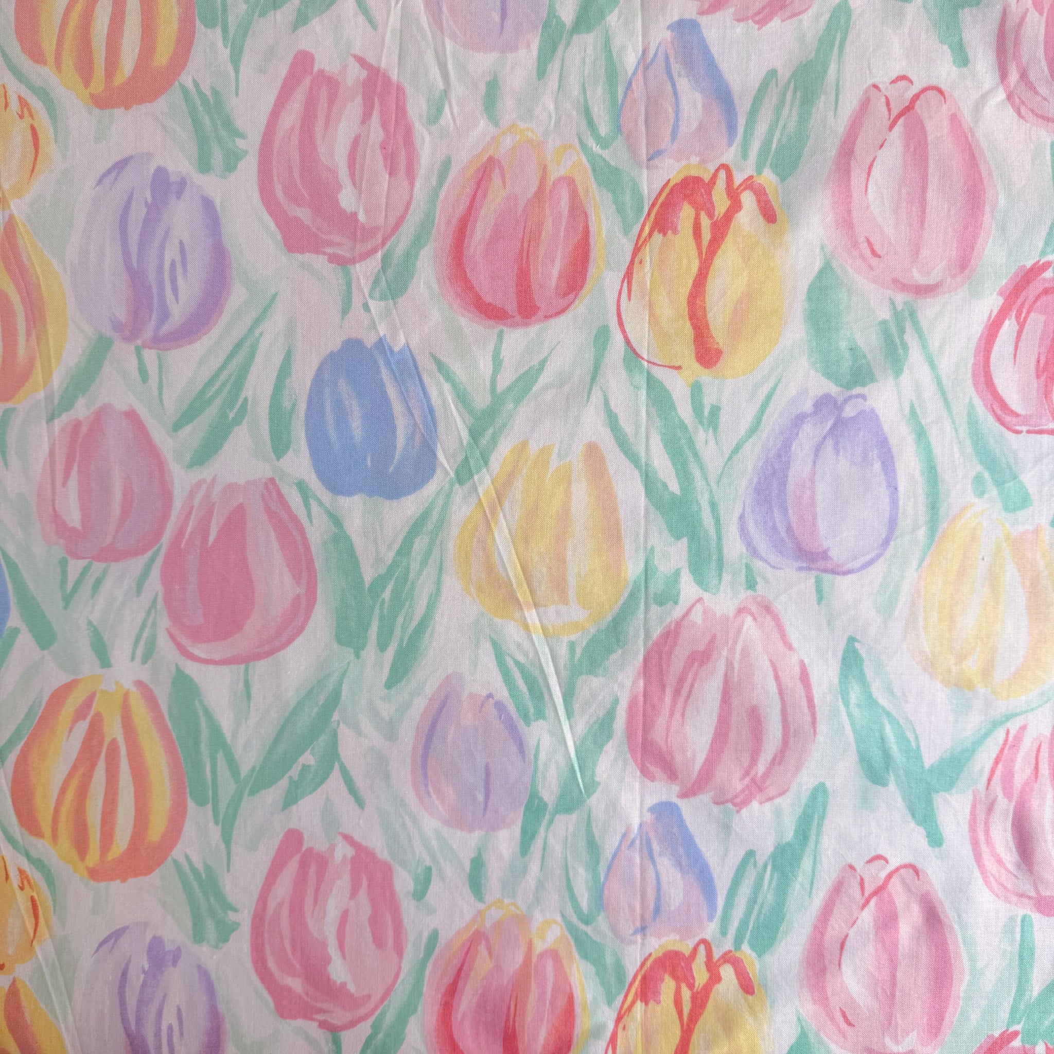 Pastell tulipaneng 🌷