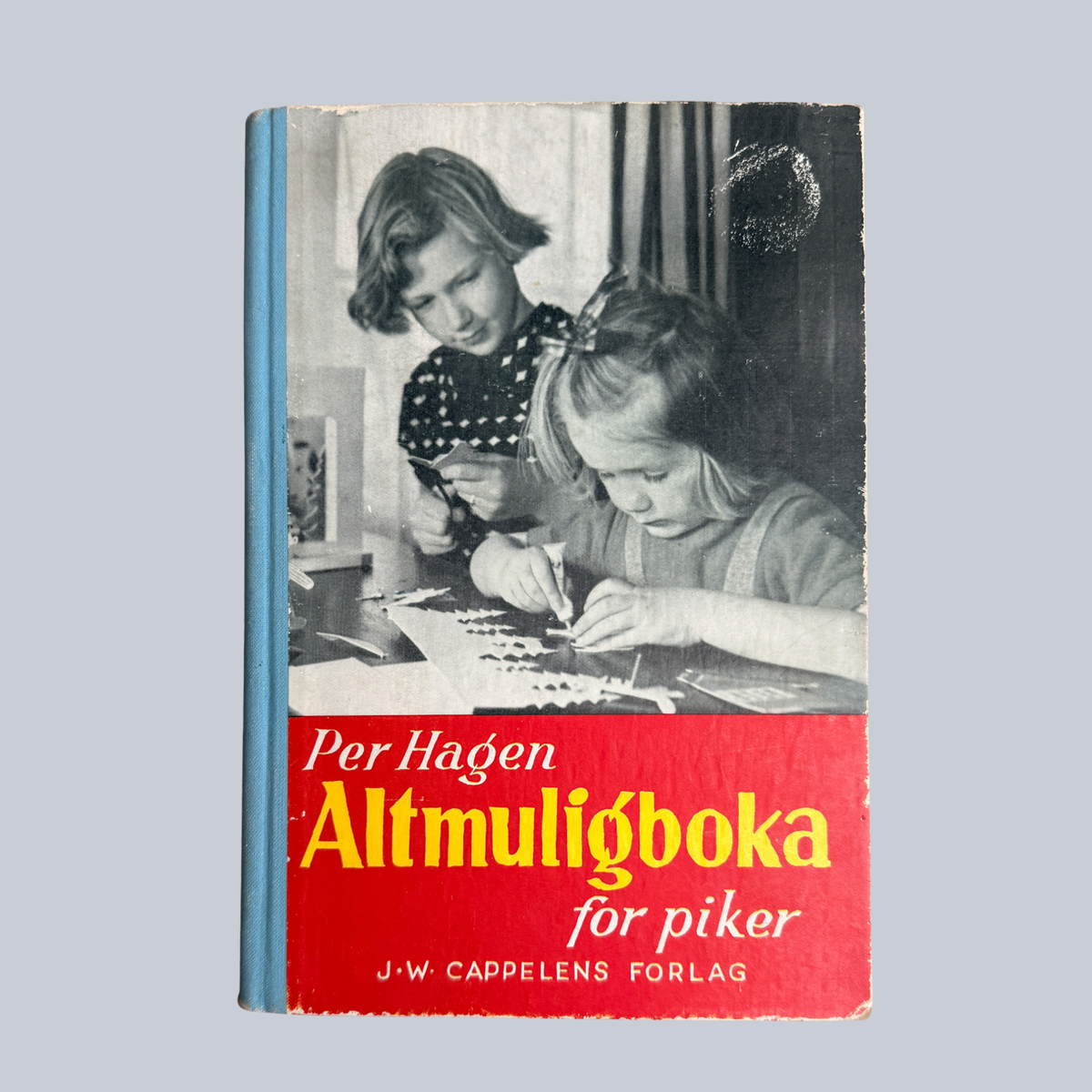Altmuligboka for piker