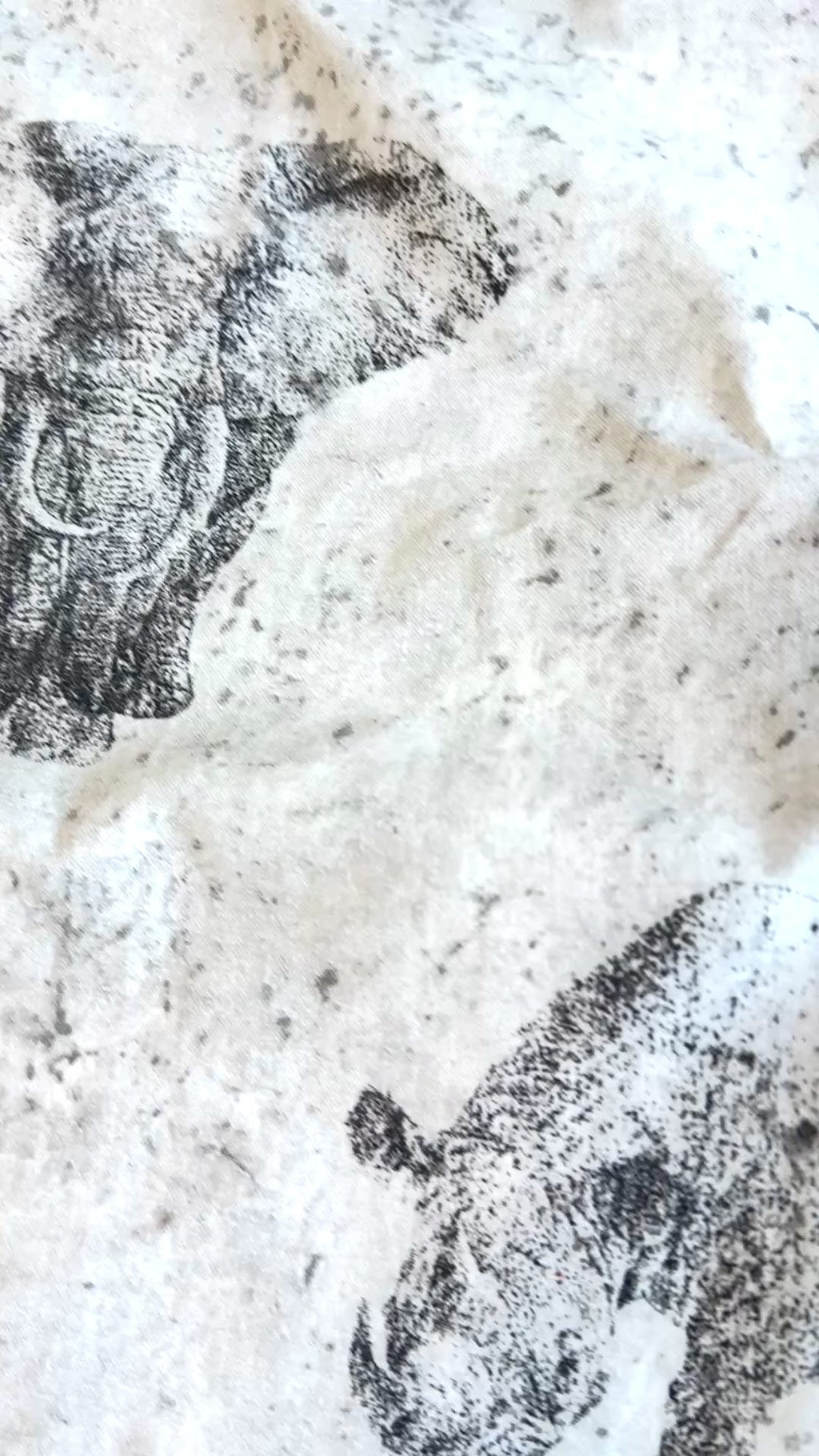 Eksotiske dyr 🦒 🐘 🦁 🦏